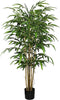Bamboe groen 155 cm