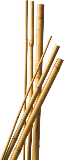 Bamboestok naturel H90cm dia. 8-10mm set a 7 stuks Nature
