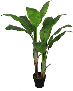 Bananenplant 140 cm