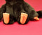 Bandai 84637 knuffel