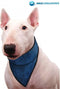 Bandana aqua coolkeeper red western