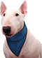 Bandana aqua coolkeeper red western