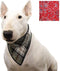 Bandana aqua coolkeeper red western