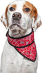 Bandana aqua coolkeeper red western