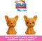Barbie Cutie Reveal Pop - 13,9 cm - Hond Kikker - Barbiepop