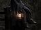 Barebones - Forest Lantern V1.2 - Red