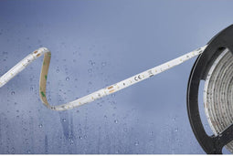 Barthelme Basic 51540333 51540333 LED-strip Met open kabeleinde 24 V 5 m Neutraalwit 1 stuk(s)