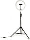 Basic Selfie Ringlamp 26 Cm Met Statief 210Cm