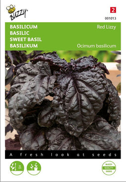 Basilicum Red Lizzy Rode slabladige