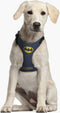 BATMAN - Honden Harnas - XXS/XS (Length 29-41cm - Width 2.4cm)