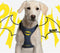 BATMAN - Honden Harnas - XXS/XS (Length 29-41cm - Width 2.4cm)