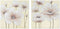 Schilderij Home ESPRIT Shabby Chic 80 x 3 x 80 cm (2 Stuks)