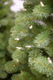 Bayberry kunstkerstboom - 213 cm - groen - Ø 140 cm - 1.539 tips - 550 ledlampjes - metalen voet