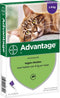 Bayer Anti vlooienmiddel Advantage 80 > 4 kg - 4 x 0,8 ml