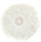 Bazar Bizar de Coastal Juju | Wanddecoratie veren & schelpen | Wit | Ø 60 cm