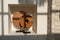 Bazar Bizar - De Teak Disc op Stand - H = 50 cm - Medium