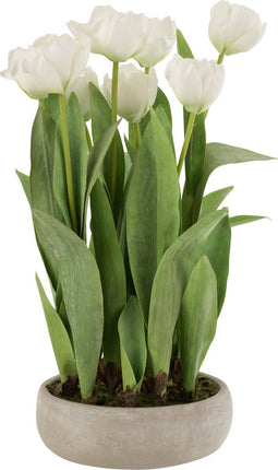 J-Line Tulpen In Pot Cement Grijs Plastiek Wit/Groen