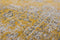 Louis de Poortere Vloerkleed - Generation - Yuzu Cream 8638