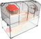 Flamingo Vitru 1 - Hamsterkooi - Glazen bodem met accessoires en looprad - Zwart - 51,5x29x40 cm