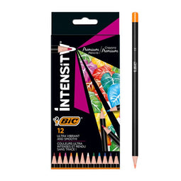 Bic - Kleurpotlood bic intensity premium assorti
