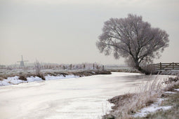 Customize it - Tuinschilderij polder winter 70x50