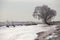 Customize it - Tuinschilderij polder winter 70x50