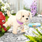 BABY born Puppy Lucky - Hondje met bench - Interactief - Multikleur