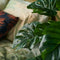 Monstera Kunstplant - Monkey Leaf Kunst - Incl. decoratieve zwarte pot - ↑ 29 cm - Ø9,5cm