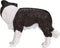 Mojo Farmland Border Collie - 387203