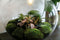 Growing Concepts DIY Duurzaam Ecosysteem Demeter lamp - H38xØ37cm