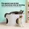 Jake & Jacky Krabkarton - Kattenhuis 2 in 1 - 60x34x34cm - Wit
