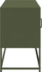 vidaXL - Tv-meubel - 100,5x39x60,5 - cm - staal - olijfgroen