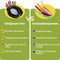 HI NATURE™ Koekenpannen - Gietijzeren Pannenset 3 - Skillet Cast Iron - Pannen Incl Siliconen Handvaten - Hapjespan - Bakpannensets - BBQ & Induct