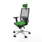 Piqueras y Crespo 2D086N2 - Bureaustoel - Hoofdsteun en armleuning - Groen
