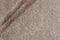 Damask AL-2 B-34-B-33 Vloerkleed - 170x240 - Rechthoek - Laagpolig,Vintage Tapijt - Klassiek - Beige