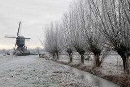 Customize it - Tuinschilderij knotw winter 130x70