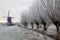 Customize it - Tuinschilderij knotw winter 130x70