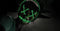 Purge - Election Year (DVD)