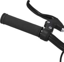 vidaXL - Fiets - met - vaste - versnelling - 700 - c - 51 - cm - wit - en - zwart