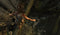 Tomb Raider Definitive Edition - PS4 - Actie Avontuur - Lara Croft