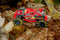 Nikko RC Rock Crusher Rood