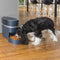 PetSafe® Smart Feed Automatic Pet Feeder - Met Wifi & APP bediening - Geschikt voor katten en kleine tot middelgrote honden