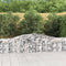 vidaXL - Schanskorven - 9 - st - gewelfd - 400x30x60/80 - cm - ijzer