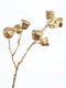 PTWM Twig Plant Eucalyptus Kunsttak - 30 x 21 x 63 cm - Goud