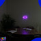 Neon Lamp - Lippen Paars - Incl. 3 Batterijen - Neon Verlichting - Neon Led Lamp - Neon Wandlamp