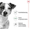Royal Canin Mini Adult 8+ - Hondenvoer - 800 g