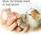 BEAPHAR | Beaphar Kitty Milk Lactol