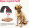 Beaphar Canishield Anti Vlooien en Tekenband Hond L 65 cm