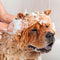 Beaphar Diagnos Vlooienshampoo hond en kat