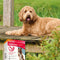 Beaphar Fiprotec Vlooien- en Tekenmiddel Hond 10-20 kg - 4 Pipetten